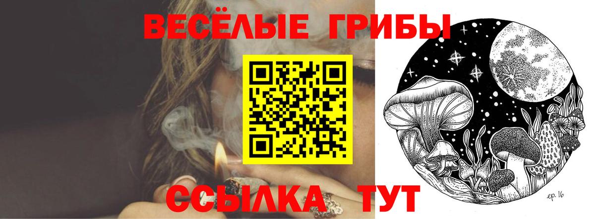 Коммунар  Псилоцибиновые грибы мицелий  Вход с VPN  Псилоцибиновые грибы ЛСД 