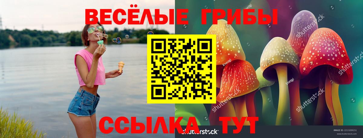 Псилоцибиновые грибы мицелий Коммунар